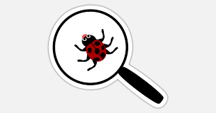 Ladybug Under The Magnifying Glass