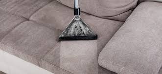 couch cleaning companies in bucks