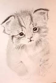 We have collected 38+ kitten coloring page to print images of various designs for you to color. Kitten Shadow And Form