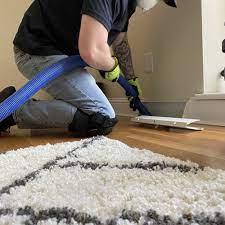 carpet cleaners in denver co