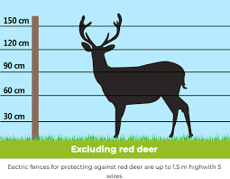 Electric Fence To Keep Deer Out