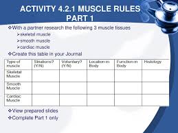 4 1 Joints And Muscles Ppt Download