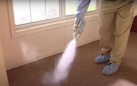 get rid of fleas on hardwood floors