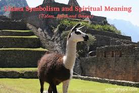 llama symbolism and meaning totem