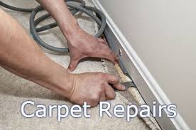 fort collins carpet cleaning comfort
