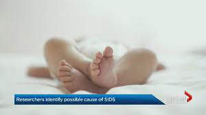 possible cause of SIDS ...