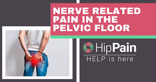 nerve pain in the pelvic floor