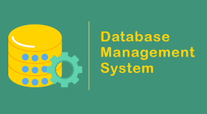 what is database management system