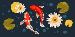 a set of orange koi fish lily buds and
