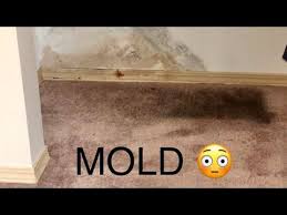 diy mold out of carpet step by step