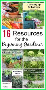 16 resources for the beginner gardener