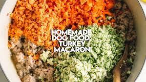 diy homemade dog food recipe college