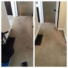 roto static barrie carpet cleaning