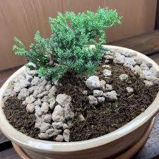 volcanic pumice for plants and garden