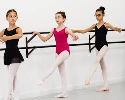 student pa resources ballet co