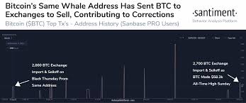 Home crypto news bitcoin to $23,000 in 2020? Whale That Sold Bitcoin Before The 2020 Crash Took In 156 Million Ahead Of This Week S 20 Drop