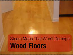 steam mop to clean wood floors