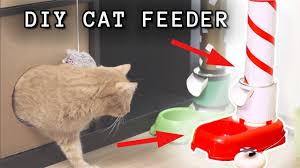 Darwin shows you step by step how to make a dry food feeder and one for water. How To Build A Smart Arduino Cat Feeder Youtube