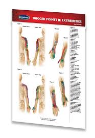 Trigger Points Ii Extremities Acupressure Acupuncture Pocket Chart