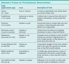 What Are Educational Implications Of Eriksons Theory Of