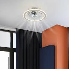 19 Inch Acrylic Enclosed Lighting Fan