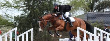 Equestrian Jumper Show Attire Dover Saddlery