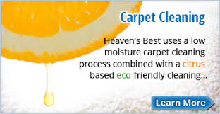 citrus carpet cleaning birmingham al