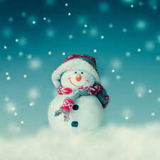 christmas cute snowman toy ipad air