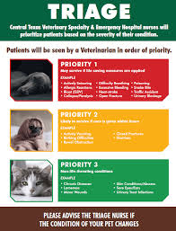 Learn more warning signs to watch for here. Emergency Vet 24 Hour Animal Hospital