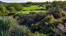 Desert Forest Golf Course, A Desert Classic - A Peek at the Peak ...