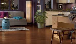 hardwood flooring experts bear carpet one
