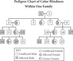 Causes Of Color Blindness Bestlink