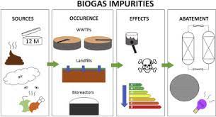 We did not find results for: Impurities In Biogas Analytical Strategies Occurrence Effects And Removal Technologies Sciencedirect
