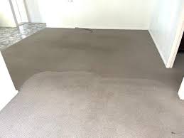 carpet cleaners ipswich preferred by