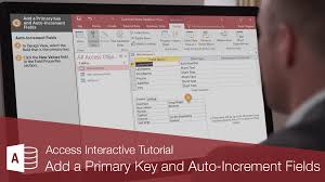 primary key and auto increment fields