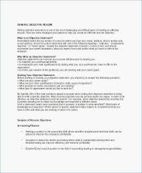 73 Awesome Stock Of Resume Summary Examples For Teller