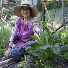 Planting Asian Vegetables In Los