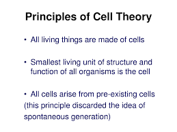ppt cell structure and function