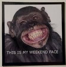 happy monkey smile magnet ebay
