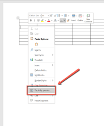 accessible tables in microsoft word