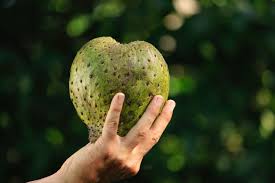 Why Soursop Is One of the Most Versatile Fruits on Earth?