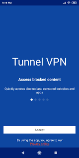 Run apk, add, curl # download and run the setup script. Tunnel Vpn For Android Apk Download