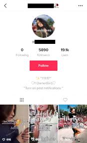 Tik tok, the social networking app for video creation and live broadcasting has become a popular choice for teenagers and new generation models. Auditing Your Tiktok Account For Follower Quality Free Tiktok Audit Tool