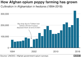 How The Us Militarys Opium War In Afghanistan Was Lost