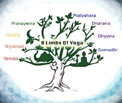 ashtanga yoga the eight limbs of yoga