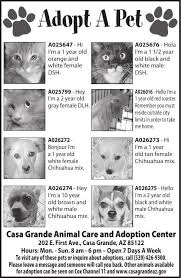 14,128 likes · 331 talking about this · 853 were here. Casa Grande Animal Care And Adoption Center 8 6 19 Adopt A Pet Pinalcentral Com
