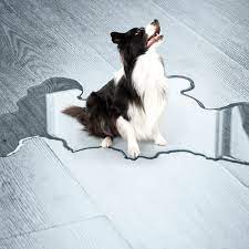 clean laminate floors with dog urine