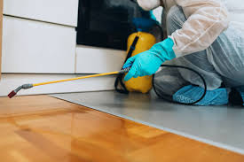 what do pest control services cover