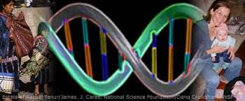 genetics the study of heredity live