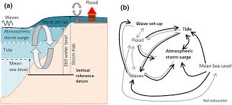 Interactions Between Mean Sea Level Tide Surge Waves And